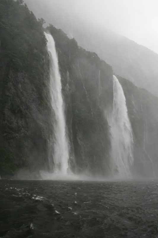 Nieuw-Zeeland 2011 - 1689